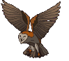 Imagen-animada-Buho-22.gif