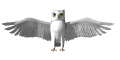 Imagen-animada-Buho-23.gif