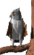 Imagen-animada-Buho-31.gif