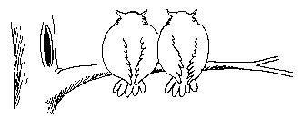 Imagen-animada-Buho-40.gif
