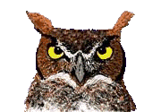 Imagen-animada-Buho-41.gif