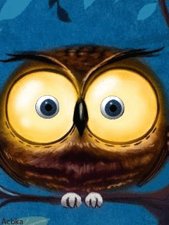 Imagen-animada-Buho-45.gif