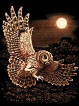 Imagen-animada-Buho-48.gif