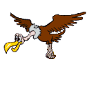 Imagen-animada-Buitre-05.gif