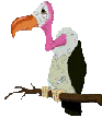 Imagen-animada-Buitre-10.gif