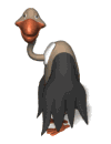 Imagen-animada-Buitre-12.gif