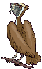 Imagen-animada-Buitre-21.gif