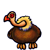Imagen-animada-Buitre-30.gif
