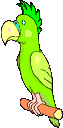 Imagen-animada-Cacatua-02.gif