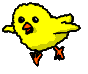 Imagen-animada-Canario-01.gif