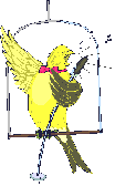 Imagen-animada-Canario-03.gif