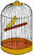 Imagen-animada-Canario-04.gif