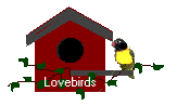 Imagen-animada-Caseta-de-pajaros-03.gif