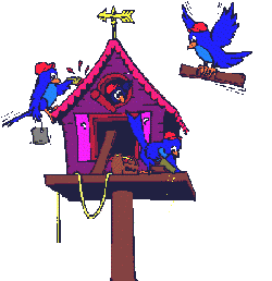 Imagen-animada-Caseta-de-pajaros-09.gif