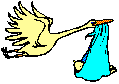 Imagen-animada-Ciguena-01.gif