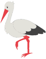Imagen-animada-Ciguena-12.gif