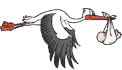 Imagen-animada-Ciguena-13.gif