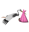 Imagen-animada-Ciguena-14.gif