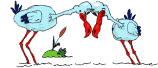 Imagen-animada-Ciguena-17.gif