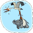 Imagen-animada-Ciguena-18.gif