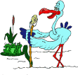 Imagen-animada-Ciguena-20.gif