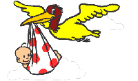 Imagen-animada-Ciguena-22.gif
