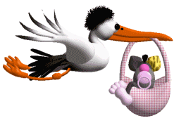 Imagen-animada-Ciguena-23.gif