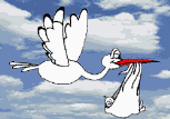 Imagen-animada-Ciguena-24.gif