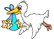 Imagen-animada-Ciguena-26.gif