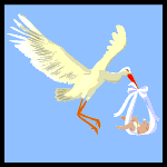 Imagen-animada-Ciguena-27.gif