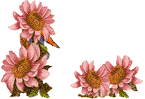 Imagen-animada-Ciguena-28.gif