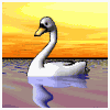 Avatar-Cisne-02.gif