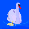 Avatar-Cisne-04.gif