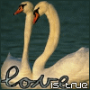 Avatar-Cisne-05.gif