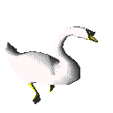 Imagen-animada-Cisne-02.gif