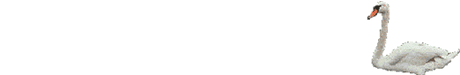 Imagen-animada-Cisne-14.gif