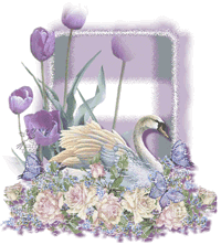Imagen-animada-Cisne-16.gif
