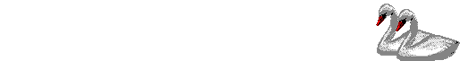 Imagen-animada-Cisne-17.gif