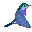Imagen-animada-Colibri-01.gif