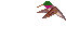 Imagen-animada-Colibri-04.gif
