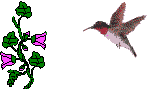 Imagen-animada-Colibri-15.gif