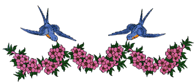 Imagen-animada-Colibri-19.gif