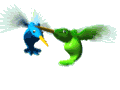 Imagen-animada-Colibri-20.gif
