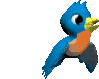 Imagen-animada-Cotorra-04.gif