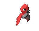 Imagen-animada-Cotorra-05.gif