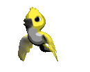 Imagen-animada-Cotorra-06.gif