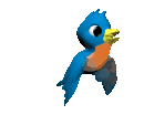 Imagen-animada-Cotorra-07.gif