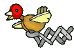 Imagen-animada-Cuco-01.gif