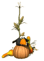 Imagen-animada-Cuervo-02.gif