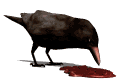 Imagen-animada-Cuervo-09.gif